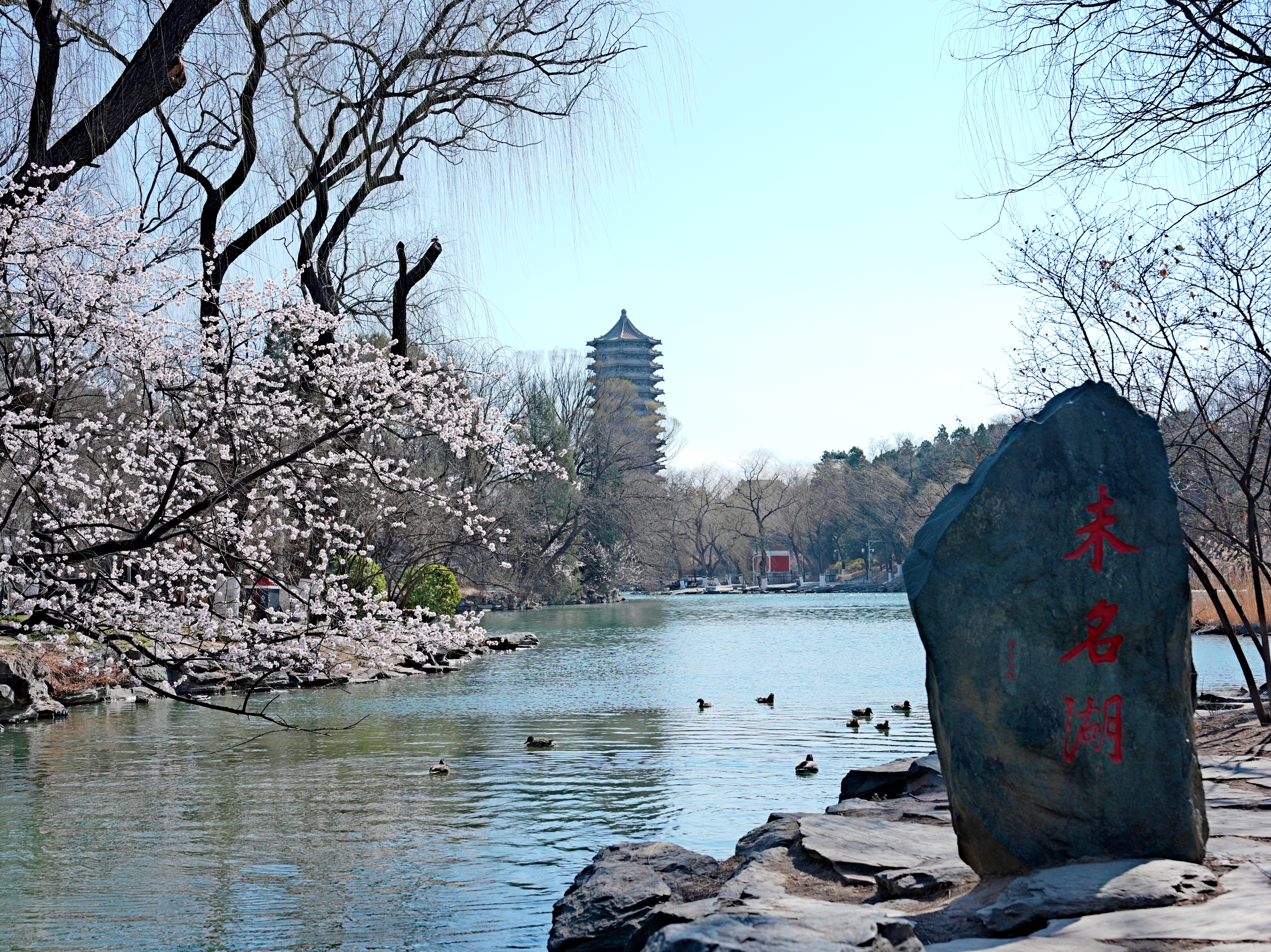 7 北大景色.JPG